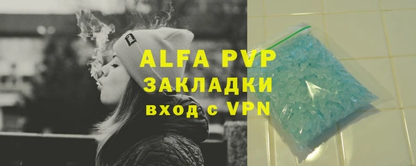 бошки Белокуриха