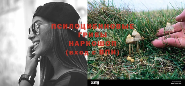 бошки Белокуриха