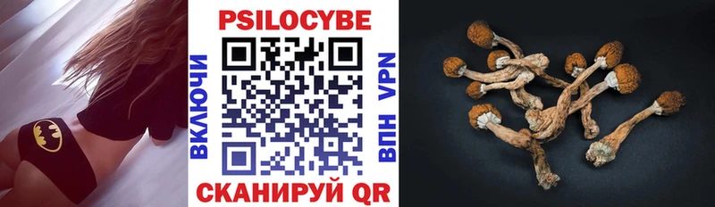 Псилоцибиновые грибы мицелий Надым