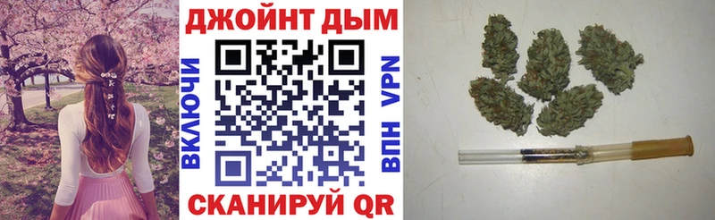 где можно купить   Надым  Конопля сатива 